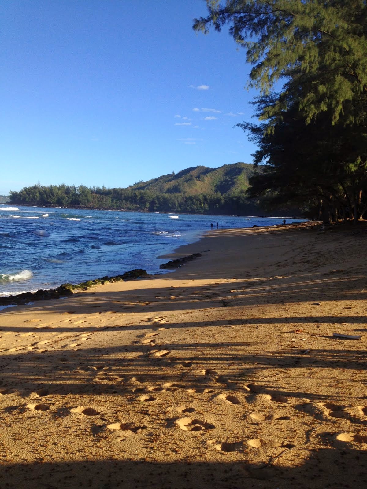 Kauai Beach