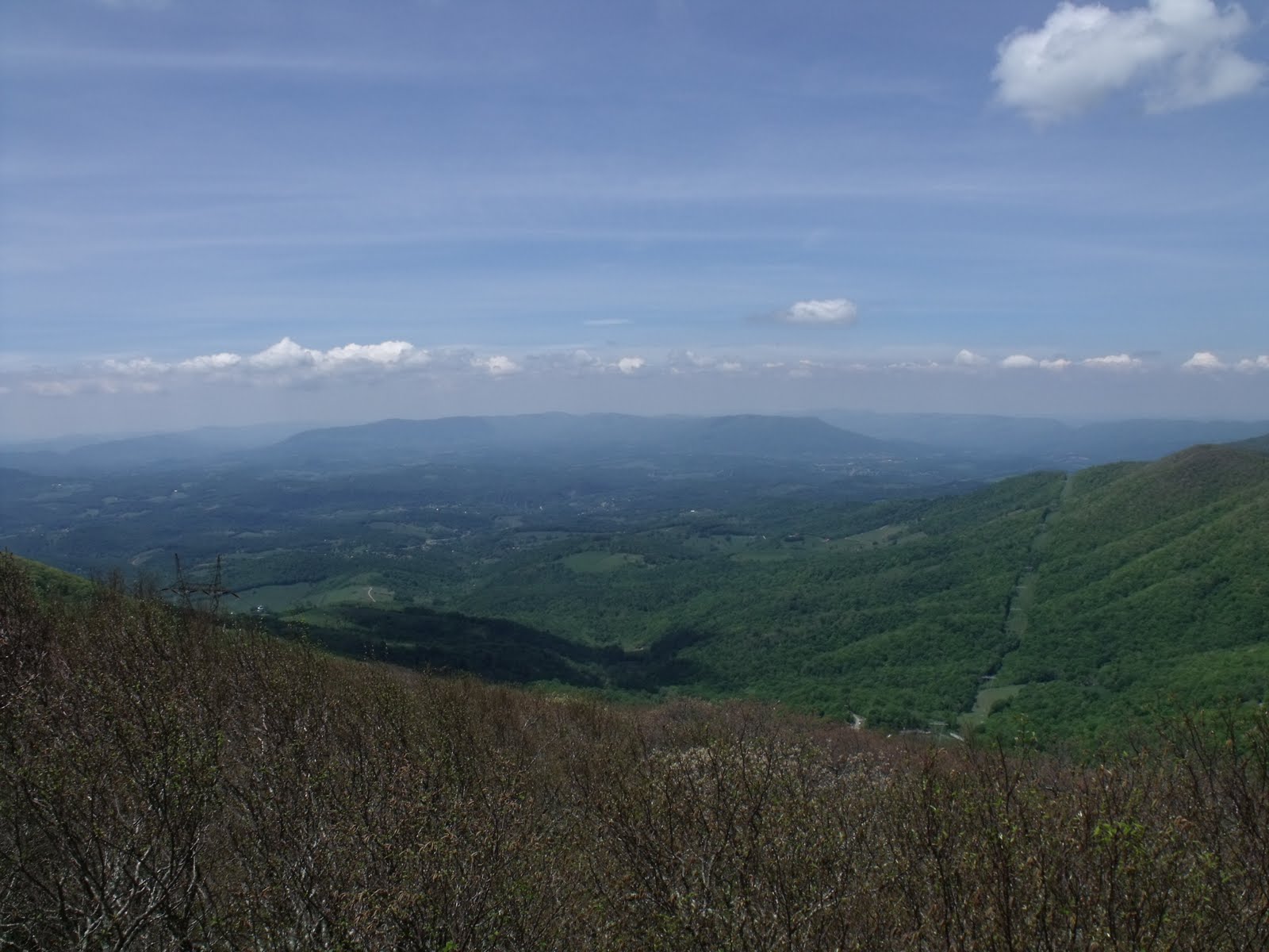 Mountain Lake Conservancy Bald Knob Bee Bowls