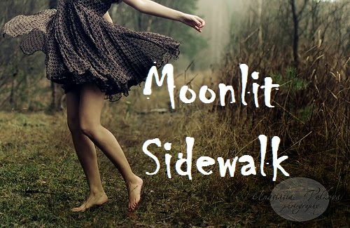 Moonlit Sidewalk