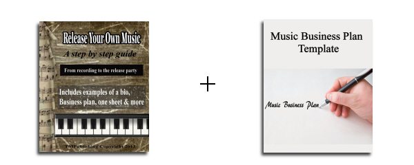 template for writing a music business plan