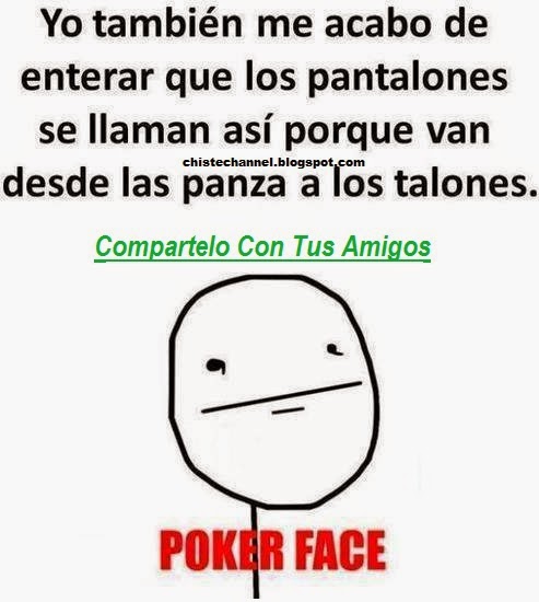 Llama in your face Llama in your face