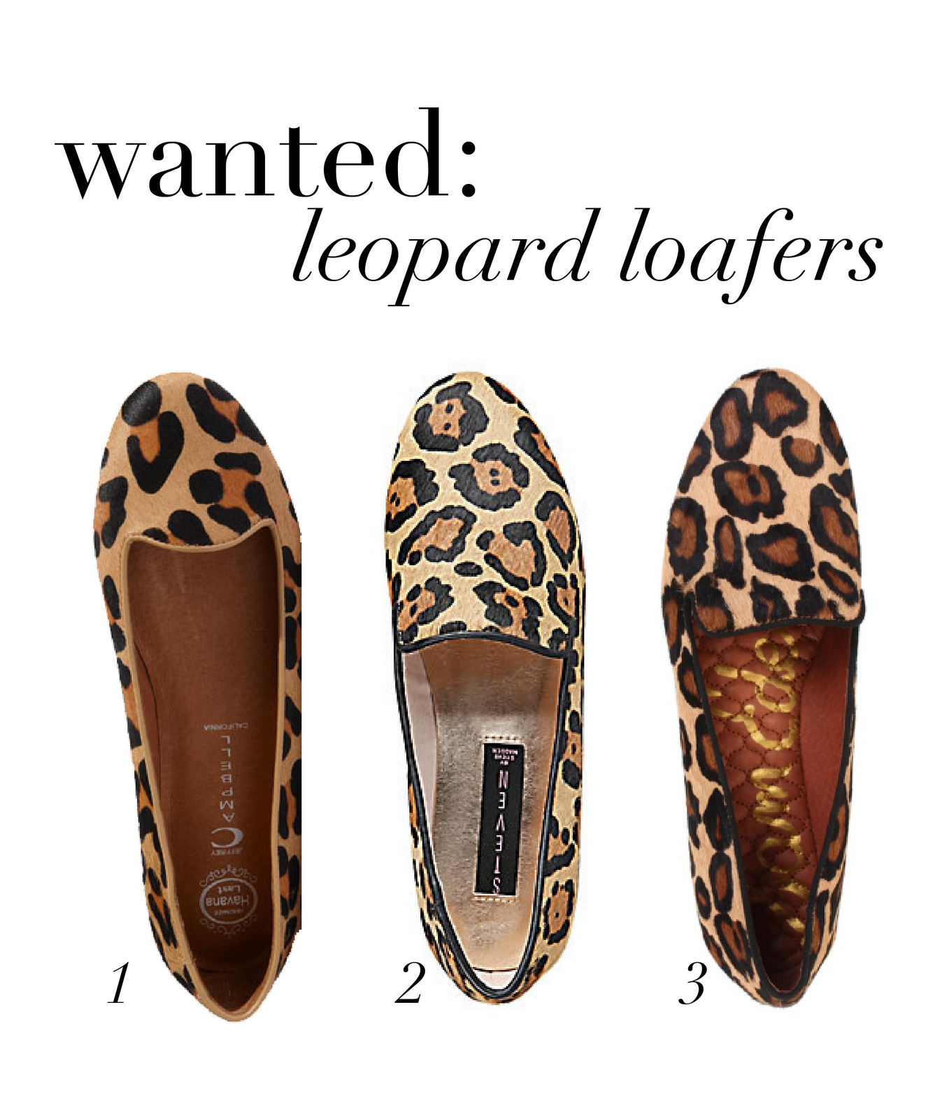 sam edelman jordy loafer leopard