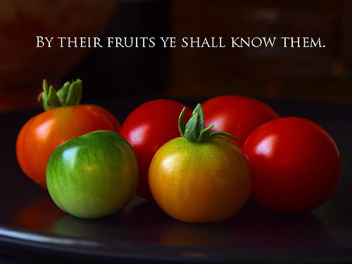 by their fruits