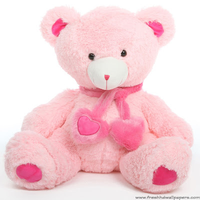 Teddy Day Special - Free HD Wallpapers