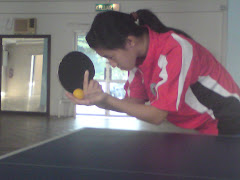 liga ipt ping pong2011