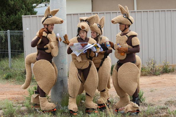 Amazing Race Season 23 Episode 10 Video