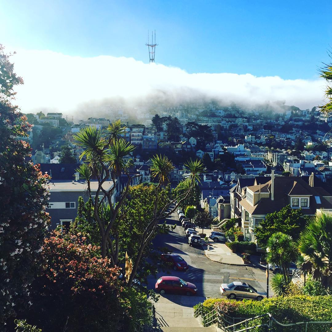 This Week in Noe Valley The Votes Are In, Wilkes Bashford Turns 50