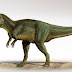Πορτογαλία: Ανακαλύφθηκαν τα απολιθώματα του μεγαλύτερου σαρκοφάγου δεινόσαυρου