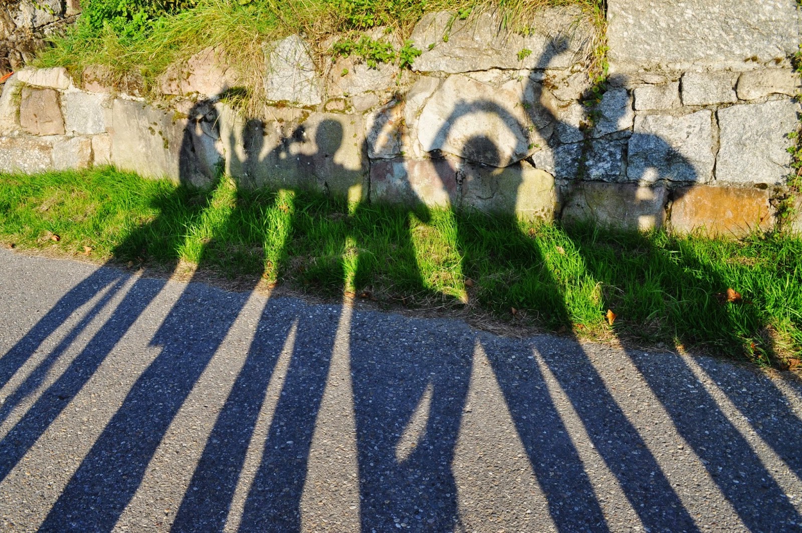 Lokale Nachrichten Aus Worms Dem Landkreis Alzey Worms Und Dem