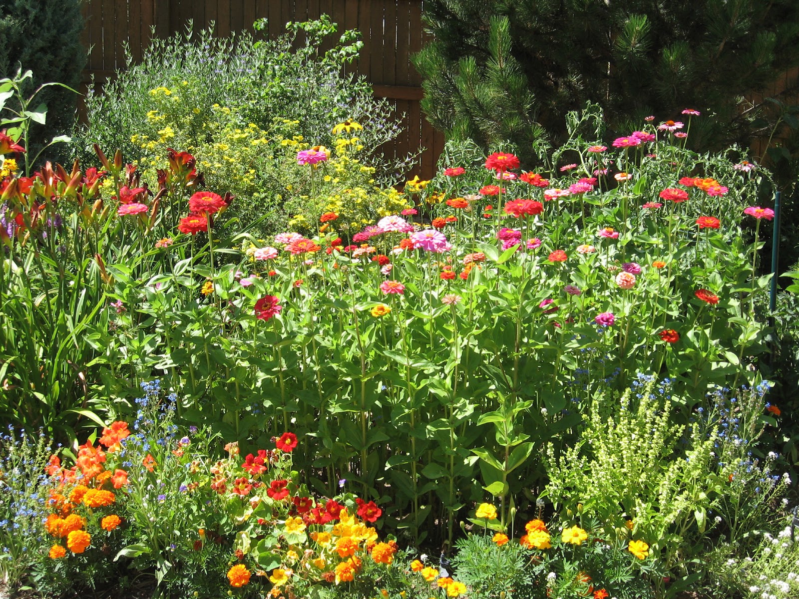 mylife4Him A Most Beautiful Flower Garden