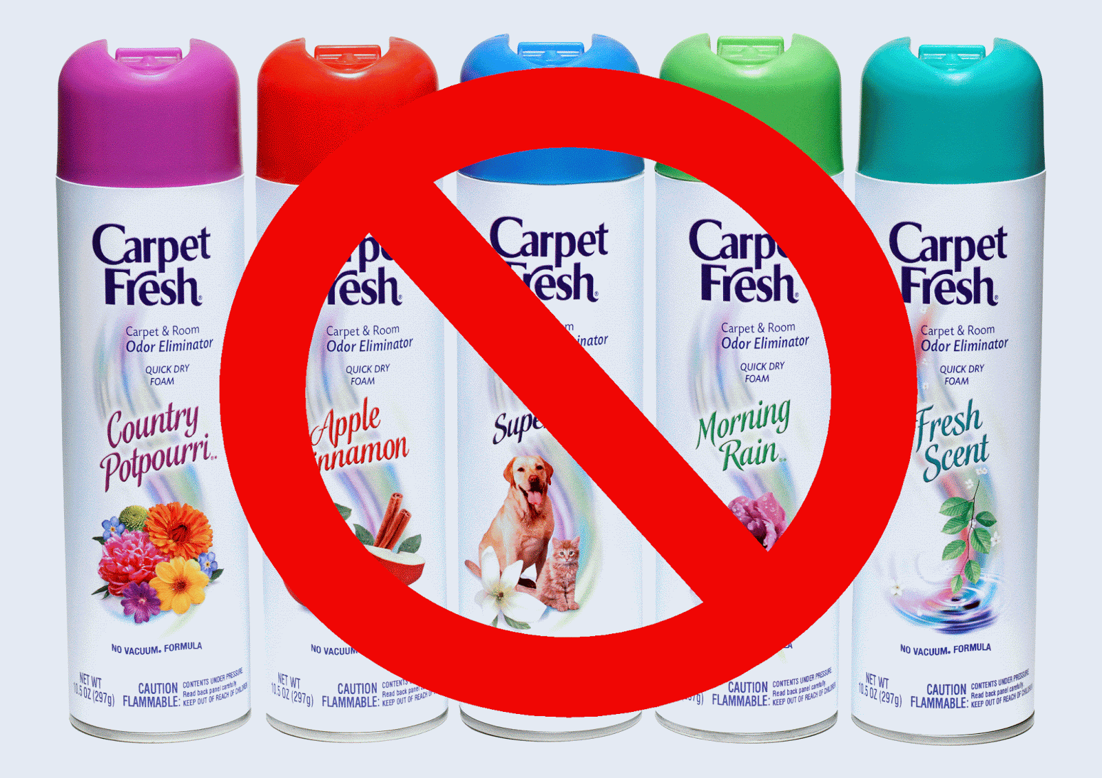 Just Take Two Bites Make Your Own Carpet Freshener