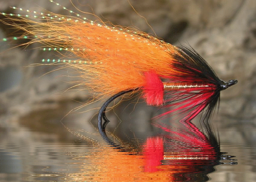 Salmon fly