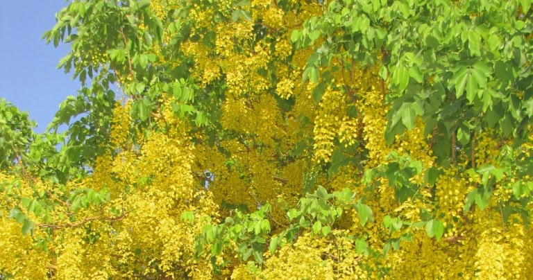 nudist beache oregon mild golden showers