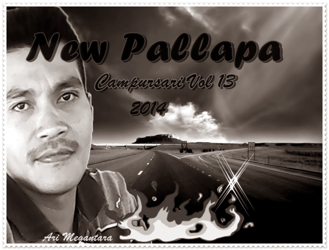 Album Terbaru New Palapa Campursari Vol 13