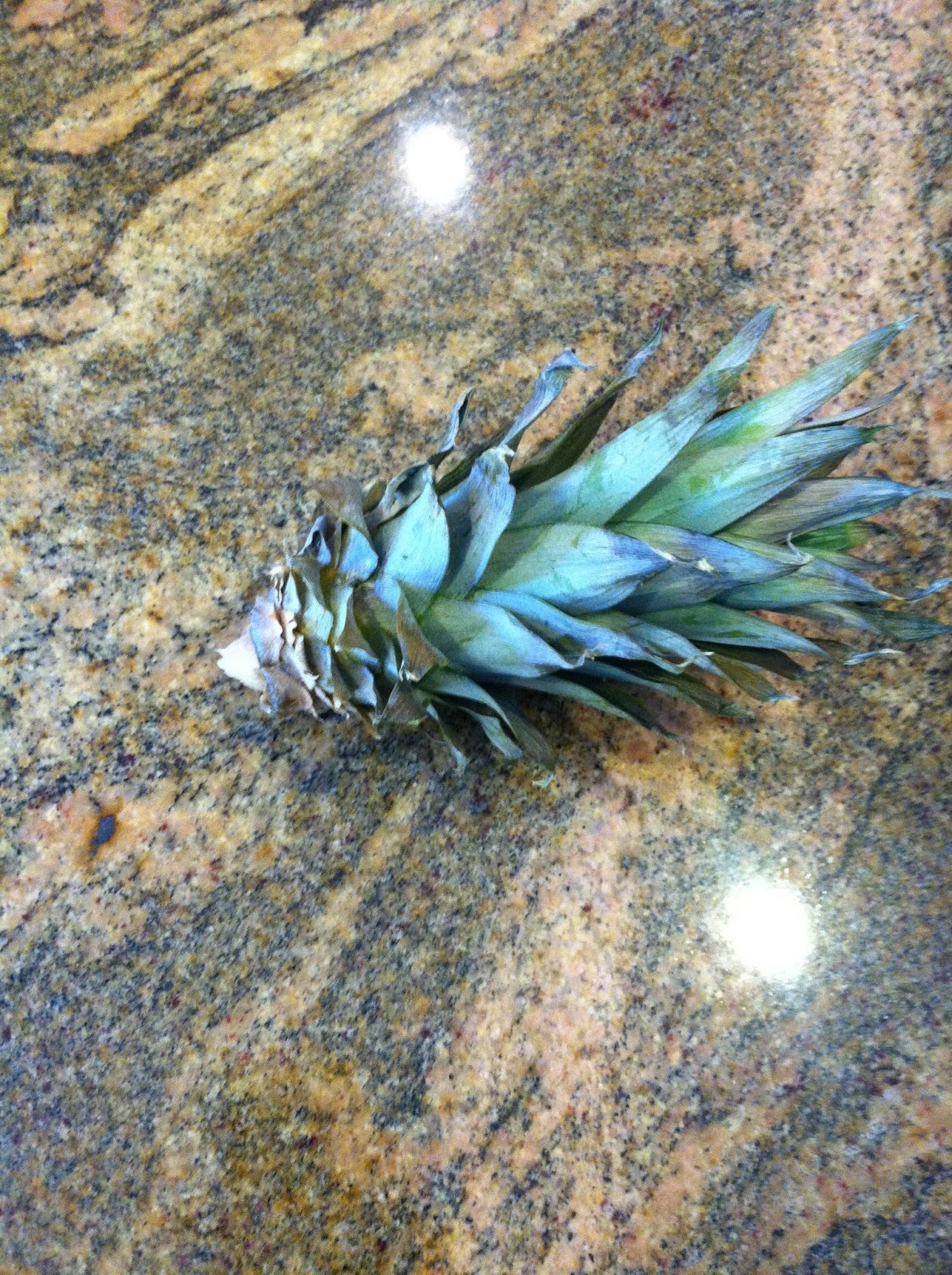 arTokyo How to cut a pineapple