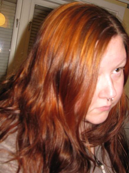 Winters Moon November 2012