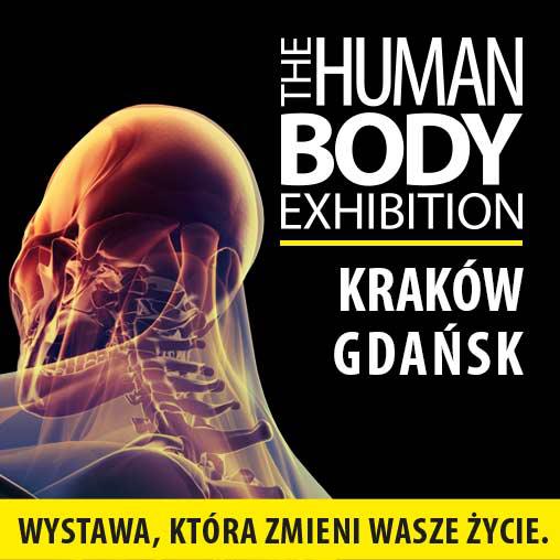 Human Body