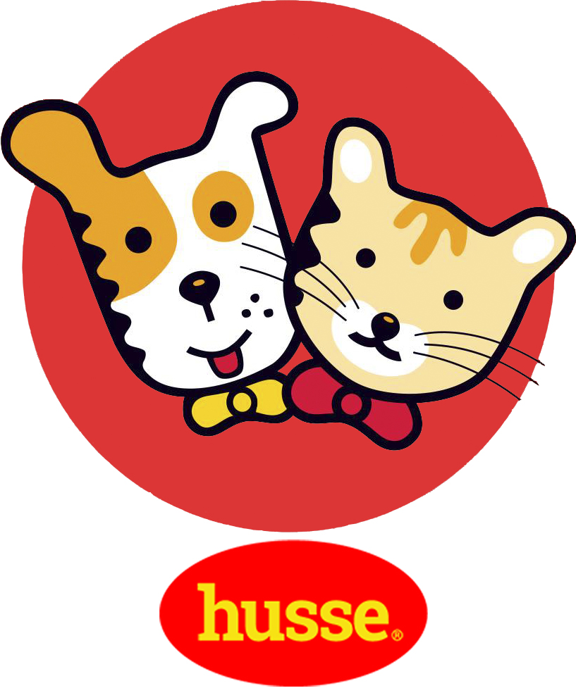 HUSSE