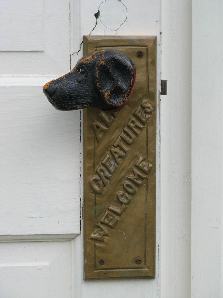 Animal Instinct Dogs