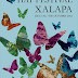 Hay Festival, Xalapa 2012 en Revista Corónica
