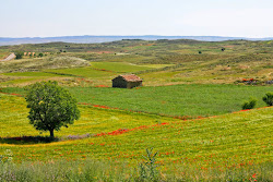 Ruta Senderista