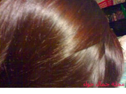 المرارة الوغد لاعب صبغ الشعر بالاكسجين kogglyatravel com