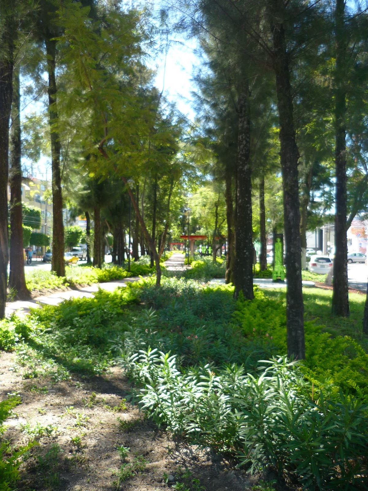 pude haber sido el rey del mundo pero encontre