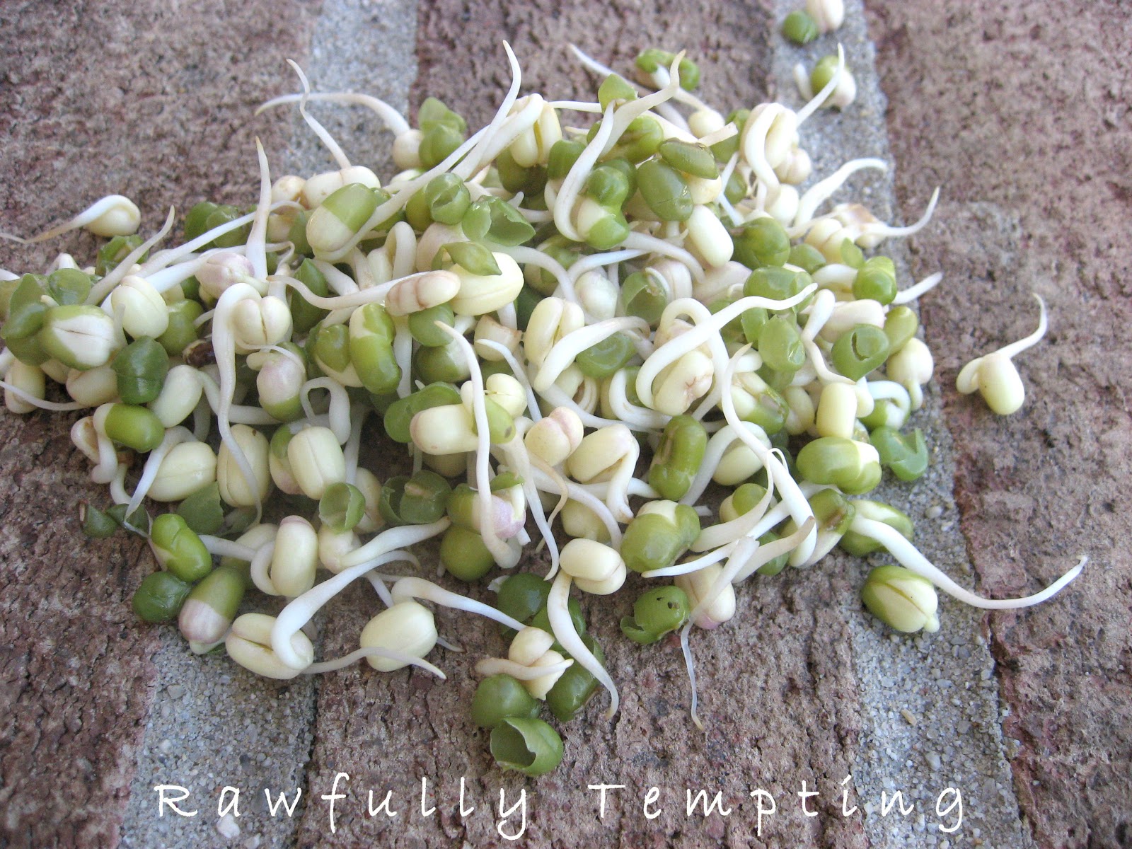 I made this delicious lunchtime salad today (see primary photo).