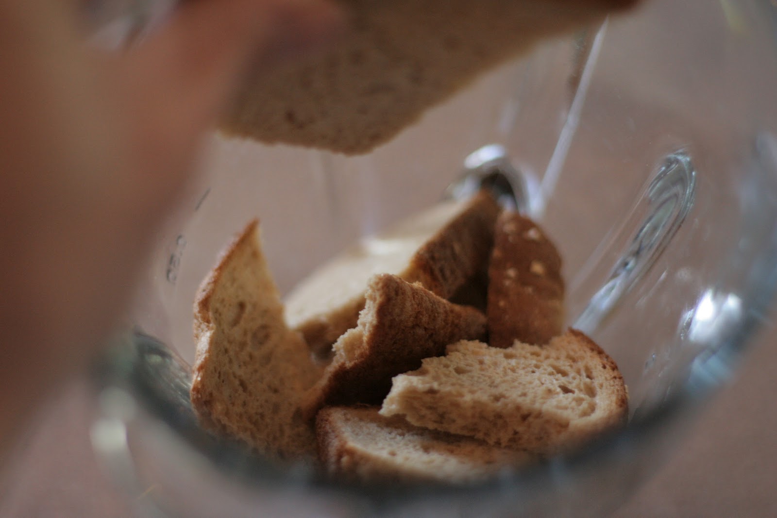 Vitamin F Whole Wheat Bread Crumbs