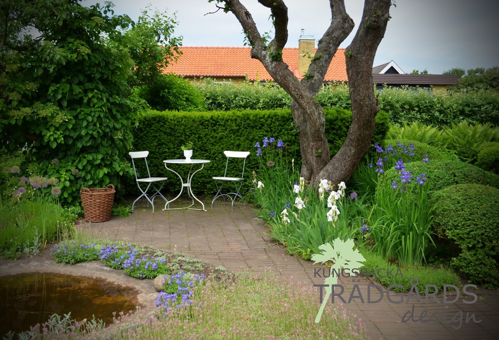 Kungsbacka trädgårdsdesign