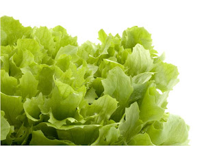 fresh vegetables require cleaning