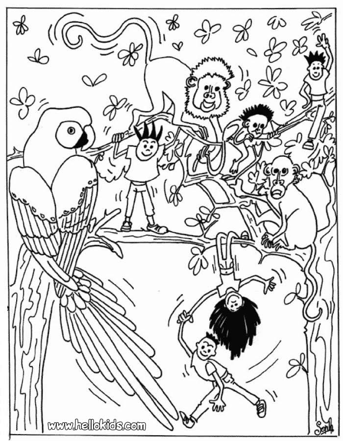 jungle colouring pages
