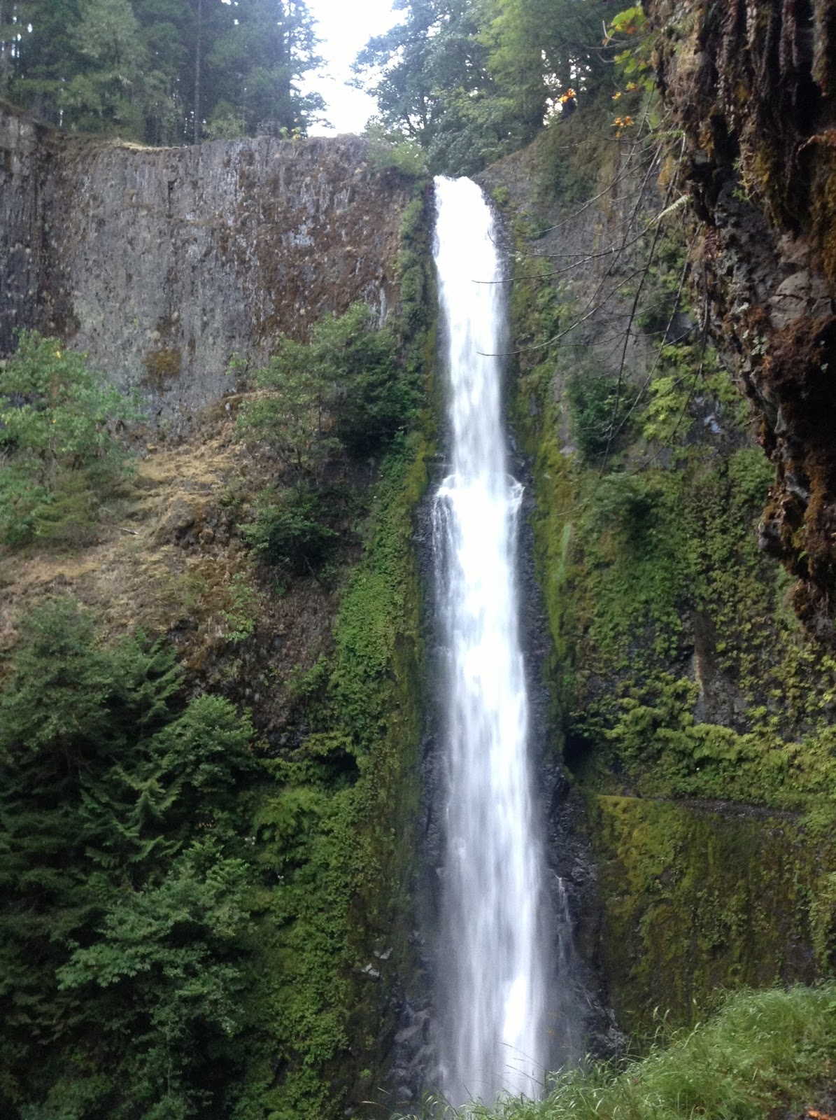 Pacman Hikes the 2013 Pacific Crest Trail Tunnel Falls near Cascade