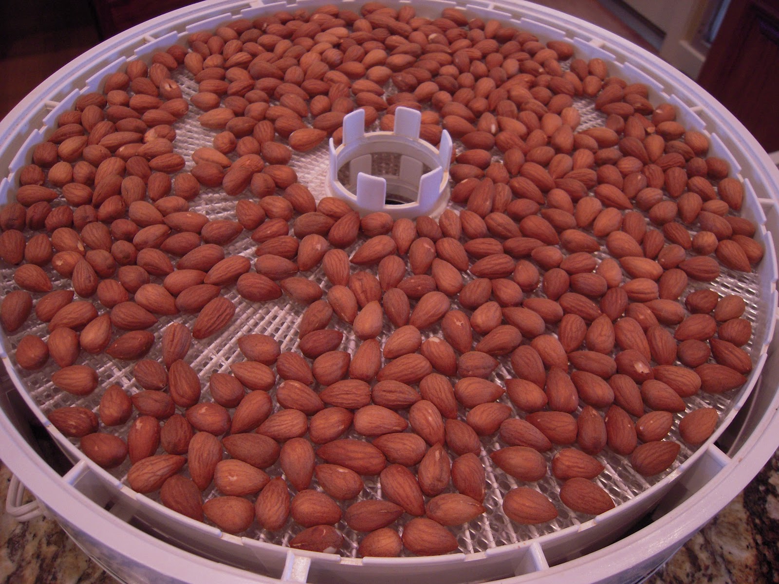 Food Garden Recipes Sprouted, Dehydrated Raw Almonds