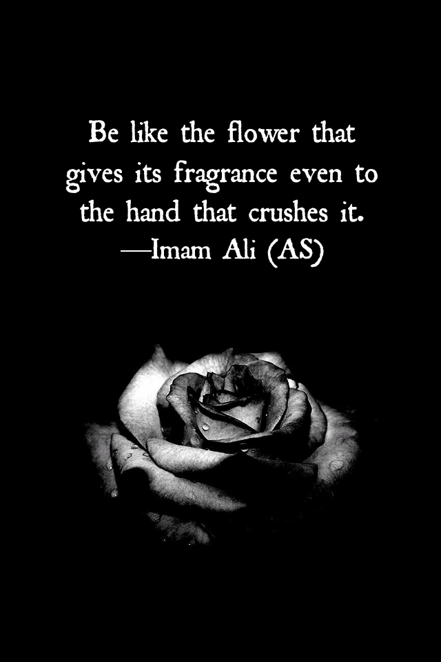 What Does This Quote From Imam AliAS Mean Personalities In Simple What Does This Quote Mean What Does This Quote From Imam AliAS Mean Personalities In Simple What Does This Quote Mean