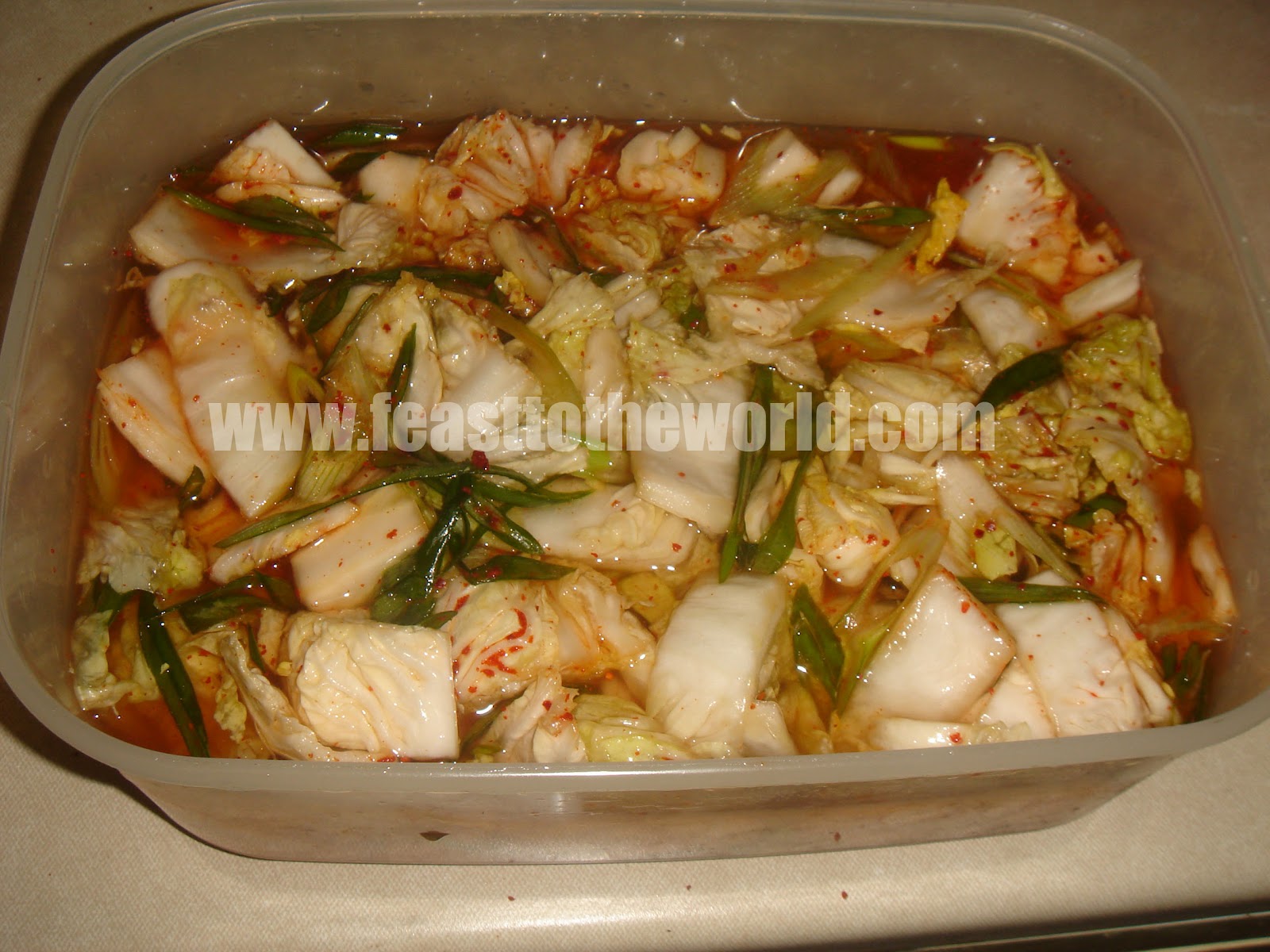 FEAST to the world Caught In A Pickle Or Two Korean Kimchi (Cabbage