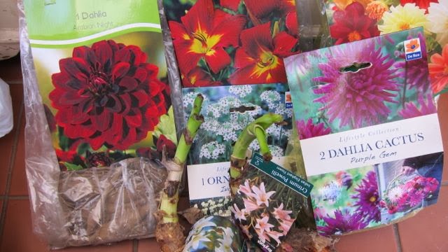 The Plant Hunter Good Gardens Start With Foliage Not Flowers