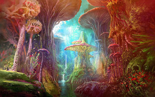 a-magic-mushroom-valley.jpg