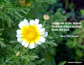 Gratitude