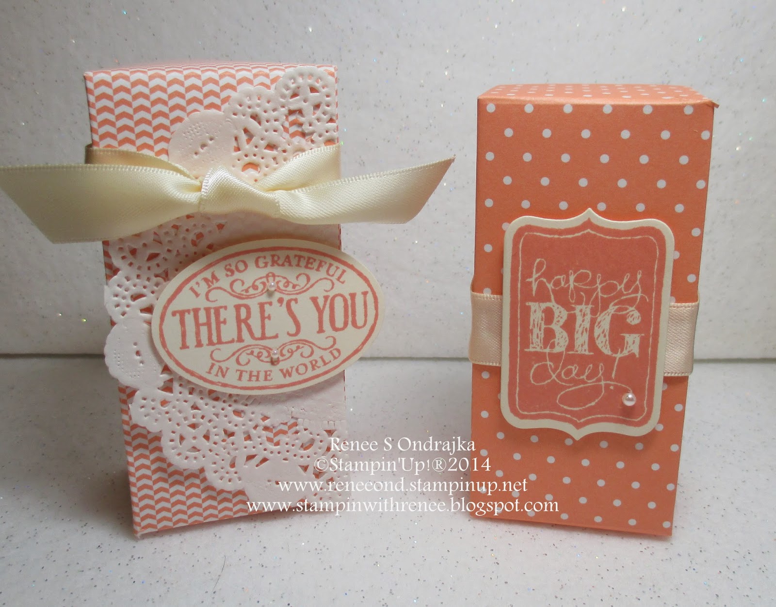 Renee's Rubber Stampin' Ramblings Boxes Galore!