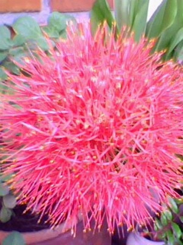 ABRINDO O CORAÇÃO!!!: Novembro 2012