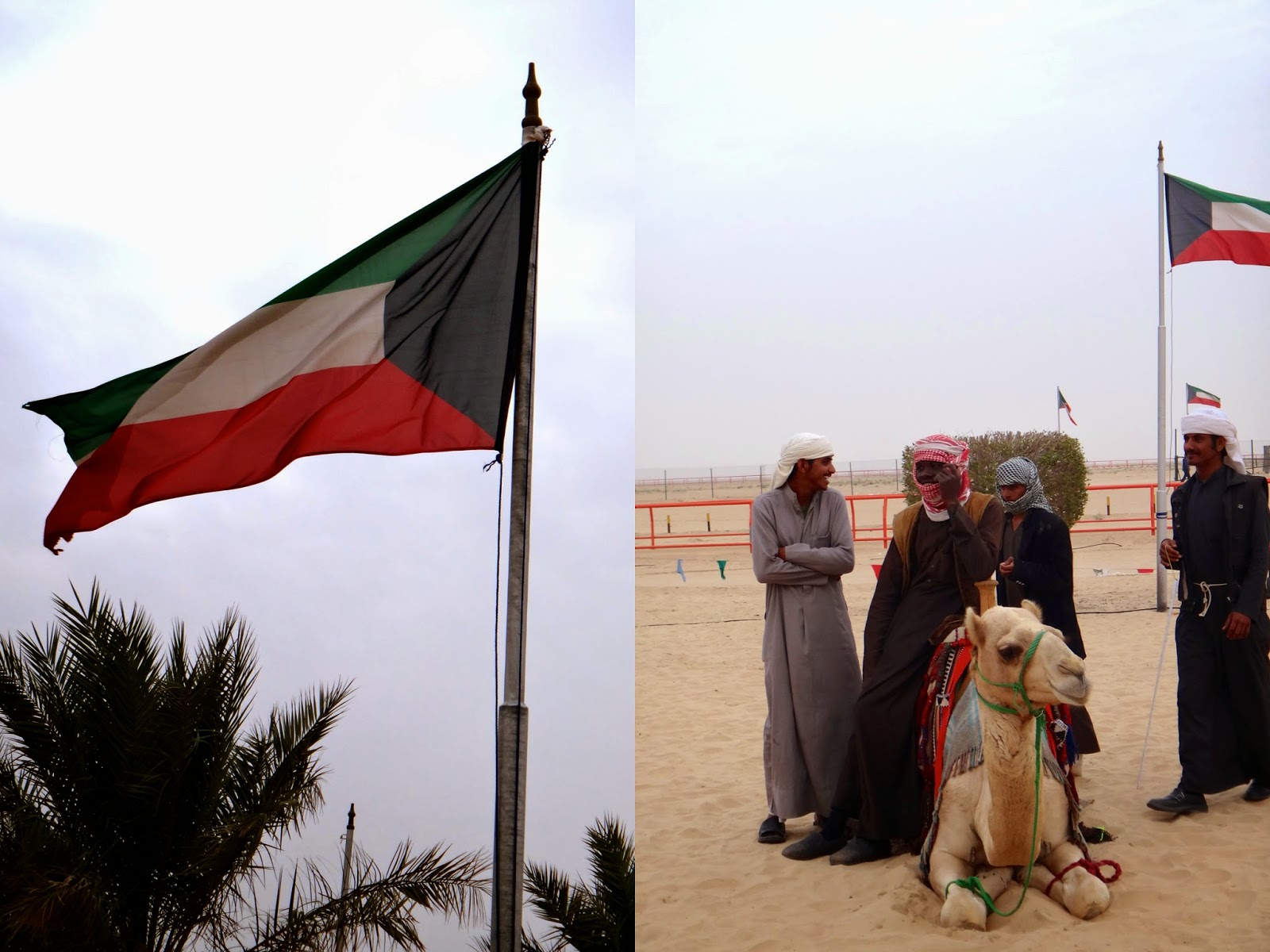Kuwait Flag