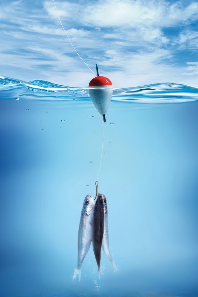 Fish on a Hook  Android Best Wallpaper