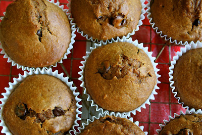Pumpkin Chocolate Chip Muffins
