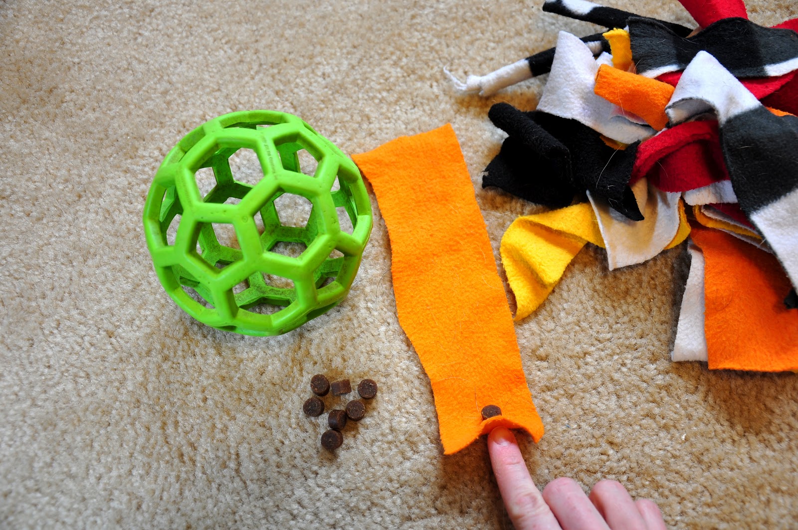 Leopold's Crate Fun activity for dogs who like to "disembowel" their