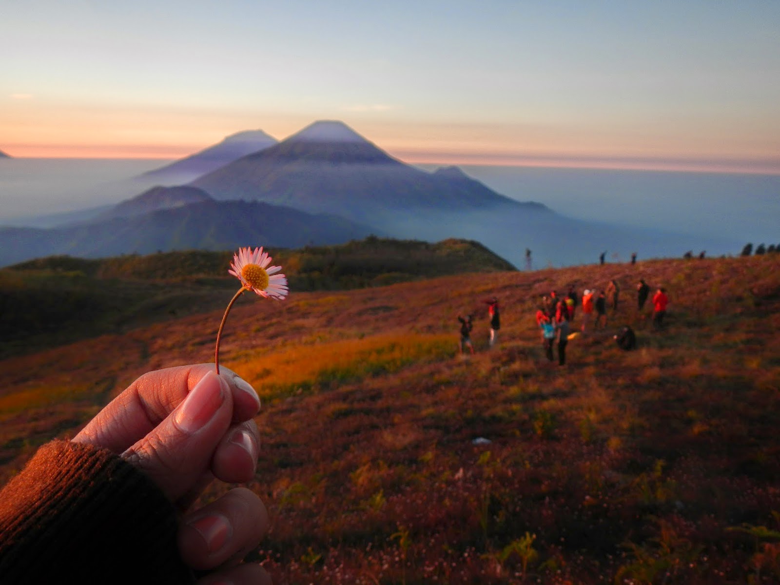  gambar sunrise di gunung 