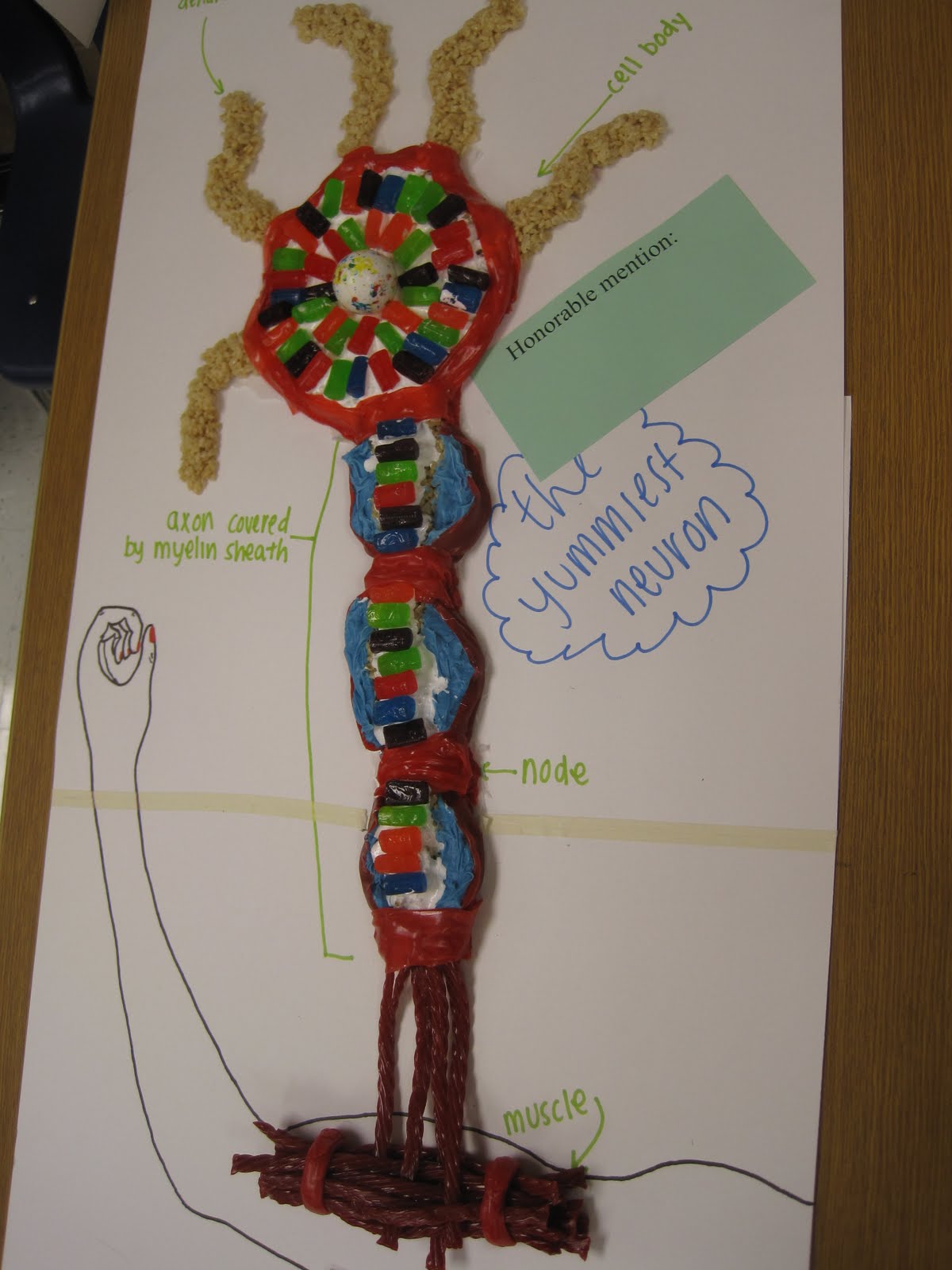 EVIT News: Where creativity and science collide