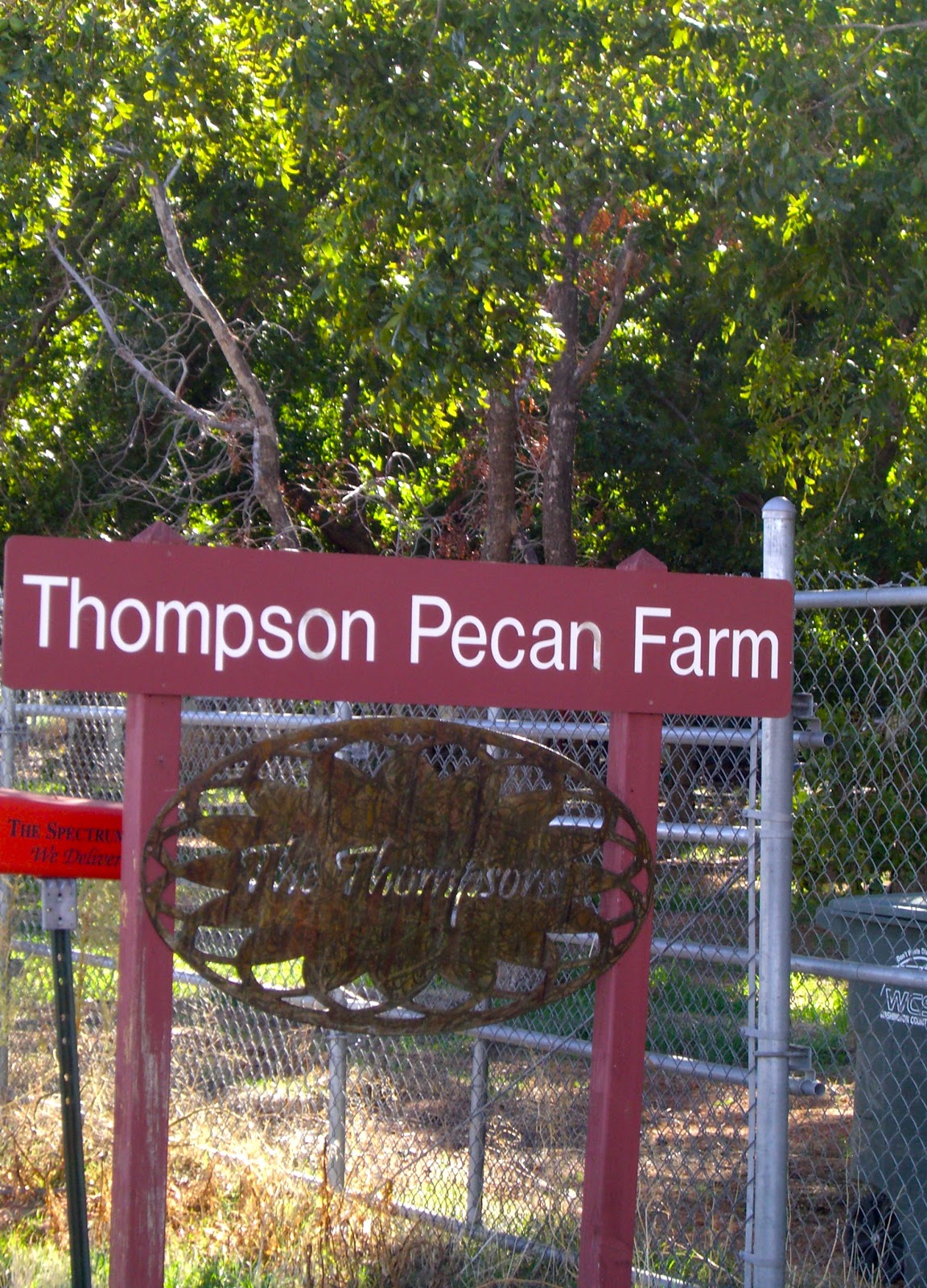 Thompson Pecan Farm in Southern Utah