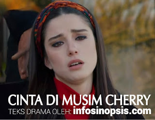 Sinopsis Cinta di Musim Cherry Episode 81 Sinopsis Cinta di Musim Cherry Episode 81