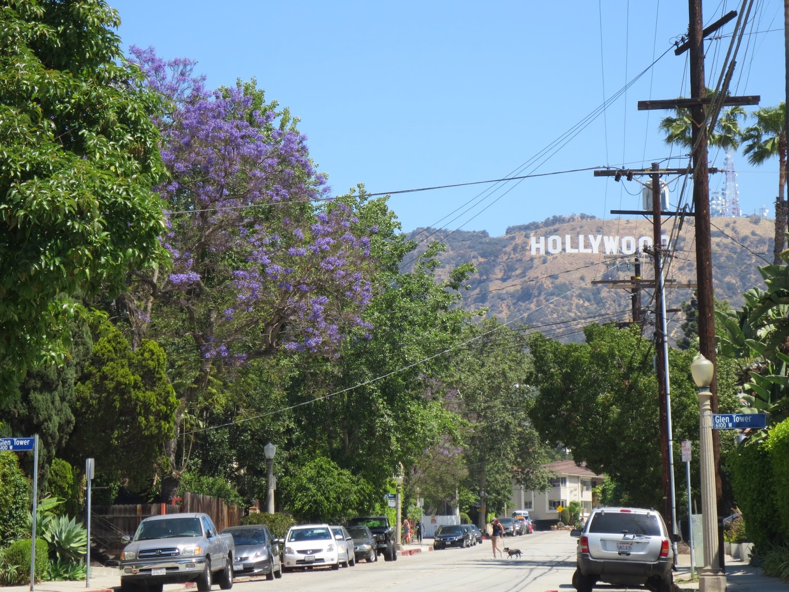 OpineLA The Most Specific Directions to The Hollywood Sign